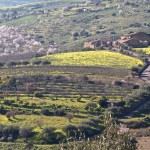 Sicilia Riserva Biosfera Unesco