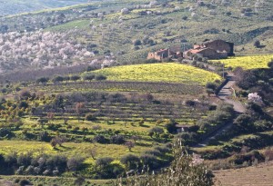 Sicilia Riserva Biosfera Unesco