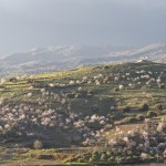 Sicilia Riserva della Biosfera Unesco