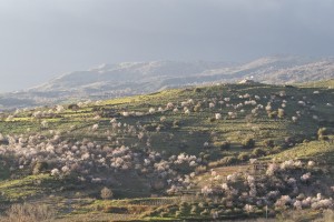 Sicilia Riserva della Biosfera Unesco