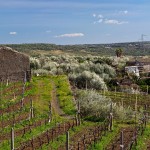 Riserva-biosfera-Sicilia-UNESCO DSCF5047