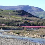 Riserva-biosfera-Sicilia-UNESCO Sizilien_0306 057