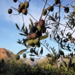 Riserva Biosfera Sicilia