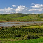 Che cosa è una Riserva della Biosfera?